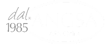 Rete ANGSA